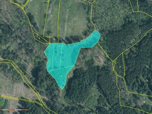 Prodej louky, Čížkov, 11437 m2