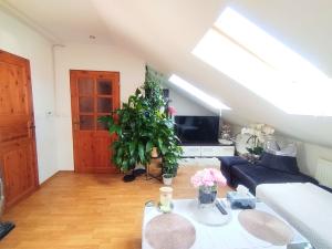 Pronájem bytu 2+kk, Ostrava, Parcelní, 75 m2