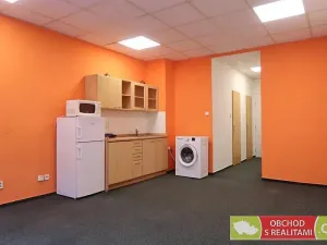 Pronájem bytu 1+kk, Praha - Žižkov, Biskupcova, 31 m2