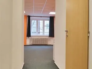 Pronájem bytu 1+kk, Praha - Žižkov, Biskupcova, 31 m2