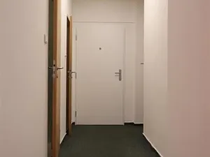 Pronájem bytu 1+kk, Praha - Žižkov, Biskupcova, 31 m2