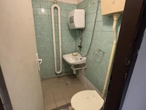 Pronájem bytu 1+kk, Ostrava - Mariánské Hory, Závišova, 15 m2