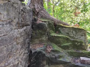 Prodej chaty, Slatiňany, 70 m2