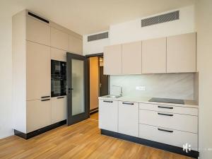 Pronájem bytu 1+kk, Praha - Žižkov, Tetauerova, 31 m2