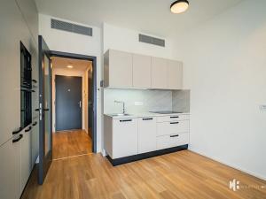Pronájem bytu 1+kk, Praha - Žižkov, Tetauerova, 31 m2