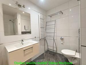 Pronájem bytu 1+kk, Praha - Žižkov, Olšanská, 41 m2