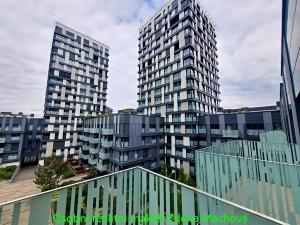 Pronájem bytu 1+kk, Praha - Žižkov, Olšanská, 41 m2