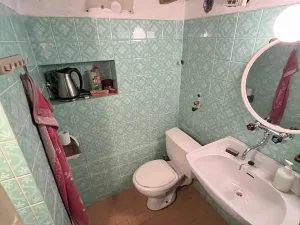 Prodej chaty, Líšťany, 50 m2