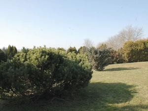 Prodej rodinného domu, Plešnice, 113 m2
