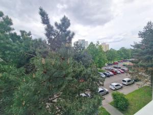 Prodej bytu 3+1, Praha - Střížkov, Černého, 61 m2