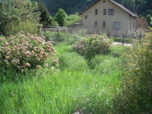 Prodej chaty, Hradištko, 100 m2