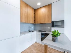 Pronájem bytu 1+kk, Praha - Vysočany, Fafkových, 39 m2
