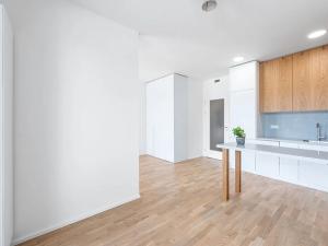 Pronájem bytu 1+kk, Praha - Vysočany, Fafkových, 39 m2
