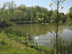Prodej rybníku, Žabeň, 31140 m2