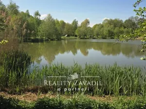 Prodej rybníku, Žabeň, 31140 m2