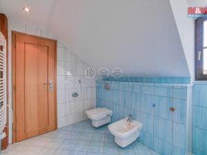 Prodej rodinného domu, Cheb - Podhrad, U Přehrady, 220 m2