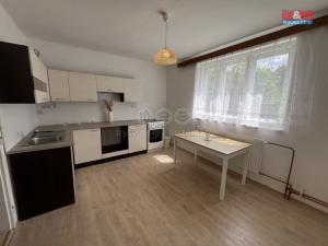 Pronájem bytu 2+kk, Návsí, 70 m2