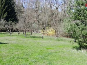 Prodej chaty, Strakonice - Strakonice II, 40 m2