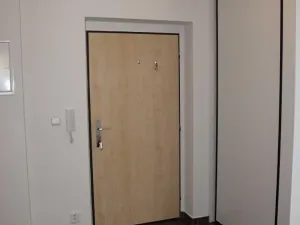 Pronájem bytu 1+kk, Brno, U Leskavy, 38 m2
