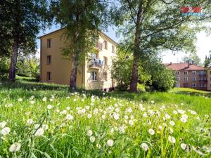 Prodej bytu 2+1, Příbram - Příbram VII, Mariánská, 54 m2