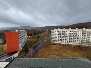 Prodej bytu 3+1, Litvínov, Albrechtická, 69 m2