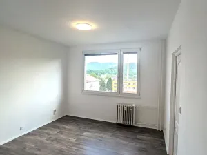 Pronájem bytu 1+1, Ústí nad Labem, Železná, 34 m2