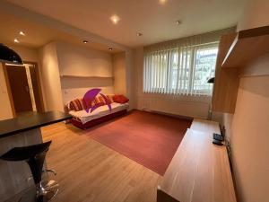 Pronájem bytu 2+kk, Olomouc, Jarmily Glazarové, 47 m2