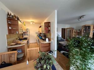 Pronájem bytu 3+1, Brno, Kamenná, 80 m2