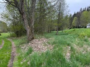 Prodej pozemku pro bydlení, Horní Vltavice, 7500 m2