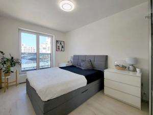 Prodej bytu 3+kk, Brno, Karla Kryla, 82 m2