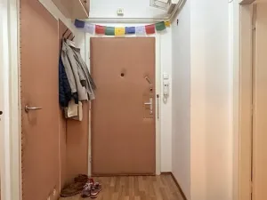 Pronájem bytu 1+1, Brno, Havlišova, 49 m2