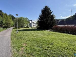 Prodej pozemku pro bydlení, Těchonín, 1527 m2