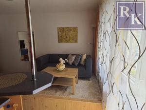 Pronájem bytu 1+kk, Ostrava, Resslova, 33 m2