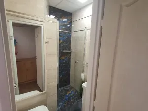 Pronájem bytu 1+kk, Ostrava, Resslova, 33 m2