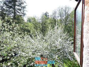 Prodej chaty, Stříbrná Skalice, 75 m2