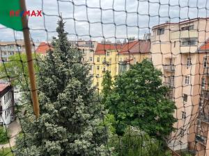 Pronájem bytu 2+kk, Praha - Holešovice, U průhonu, 49 m2