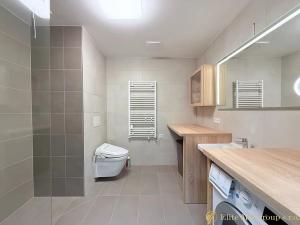 Pronájem bytu 2+kk, Mladá Boleslav, Vondřichova, 49 m2