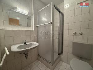 Prodej bytu 1+1, Železná Ruda, 30 m2