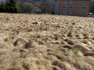 Prodej pozemku pro bydlení, Hamr na Jezeře, 1015 m2