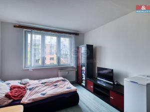 Prodej bytu 1+kk, Nové Sedlo, Sadová, 20 m2