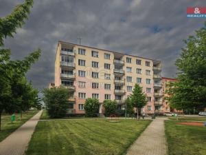 Prodej bytu 1+kk, Nové Sedlo, Sadová, 20 m2