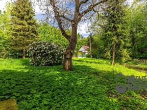 Prodej zemědělské usedlosti, Nové Město pod Smrkem, 235 m2