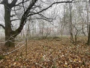 Dražba pozemku pro bydlení, Frýdlant, 2192 m2