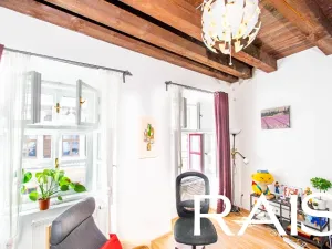 Prodej činžovního domu, Brno, 1004 m2
