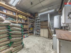 Prodej chalupy, Velké Hamry, 250 m2