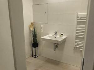 Pronájem bytu 2+kk, Brno - Veveří, Lidická, 5470 m2