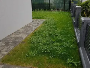 Pronájem rodinného domu, Brno, Brněnky, 182 m2