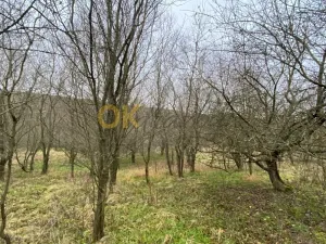 Dražba lesa, Šarovy, 11619 m2