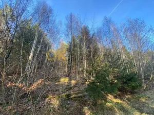 Dražba pozemku, Ústí, 11769 m2