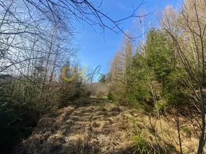 Dražba pozemku, Ústí, 11769 m2